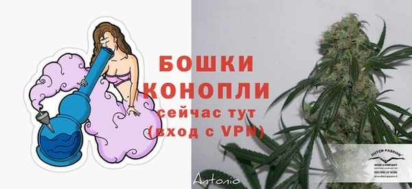спиды Елизово