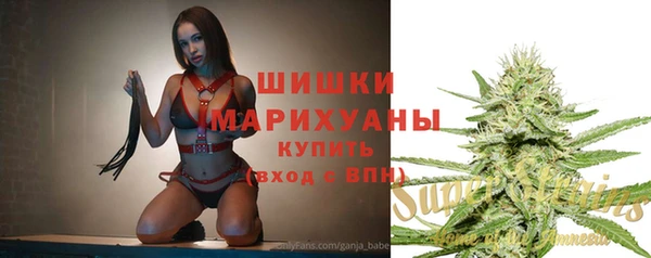 прущая мука Ельня