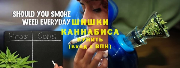 прущая мука Ельня