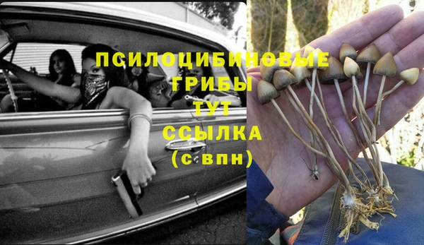марки lsd Елабуга