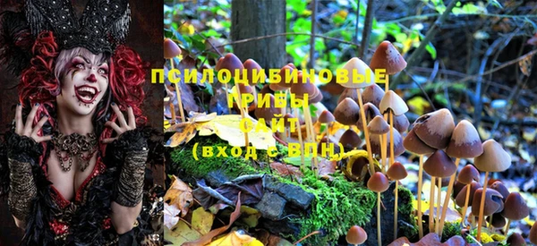 марки lsd Елабуга