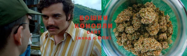 прущая мука Ельня